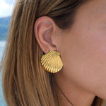 Big seashell earrings