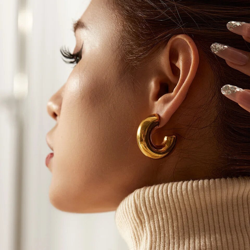 Thick Hoops Earrings